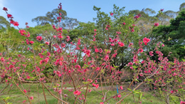 中山市祥龙电器召回部分西龙牌西龙加热棒